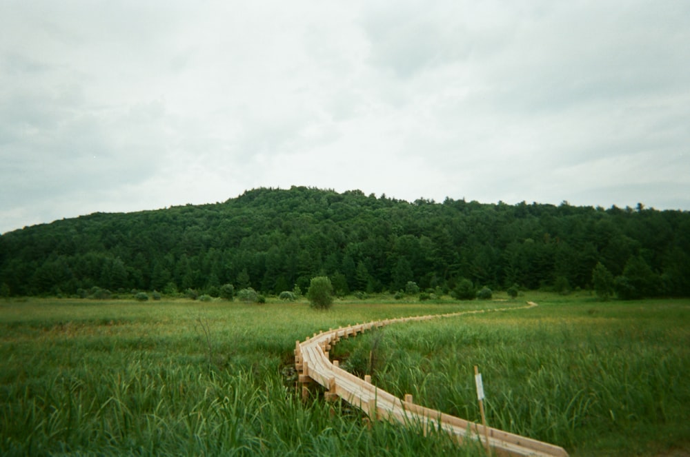 green grass field near green trees under white sky during daytime