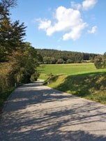 A winding road disappearing into a lush green landscape under a bright blue sky.