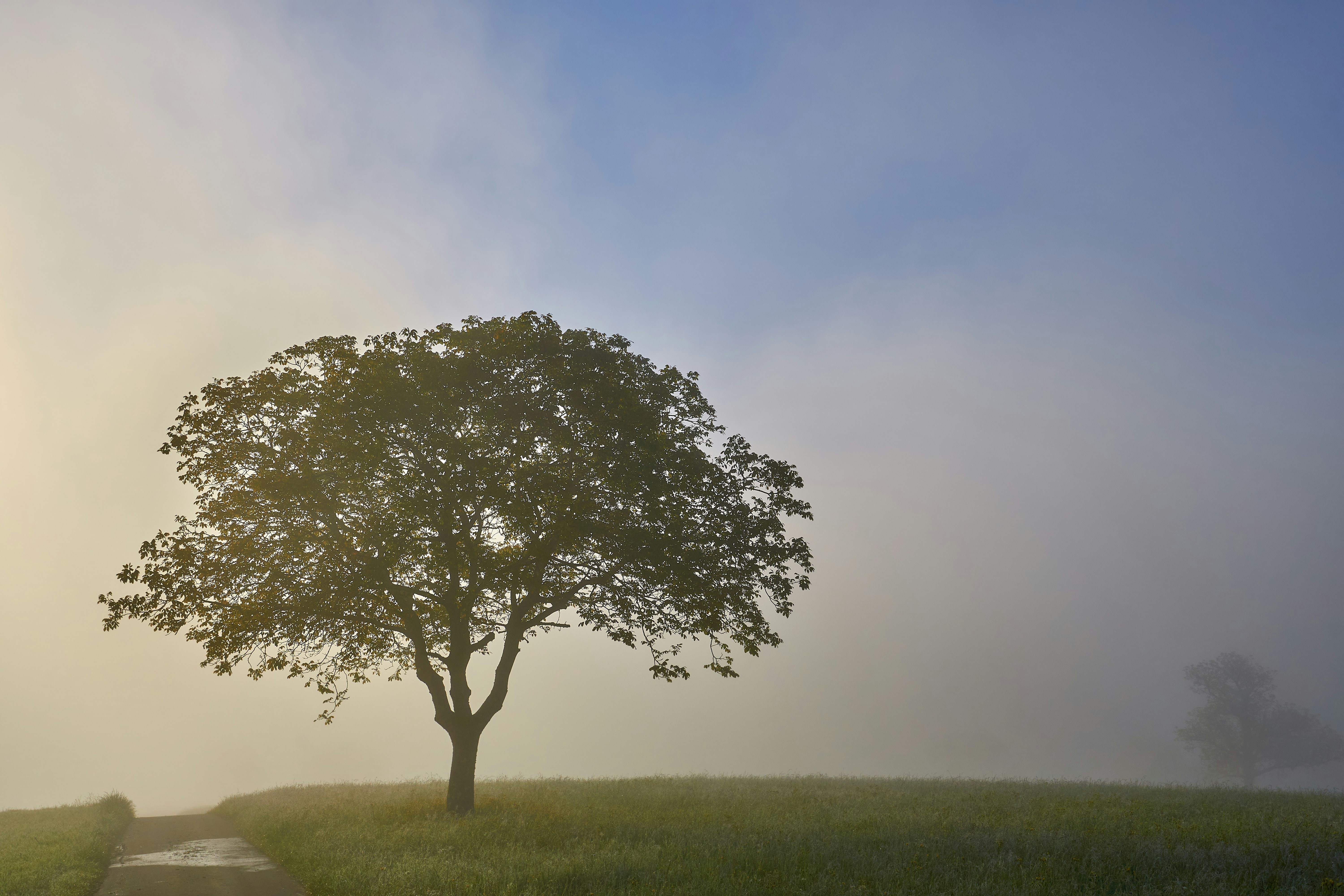 Reimagining Life: Freedom, Growth, and the Power of a Fresh Start