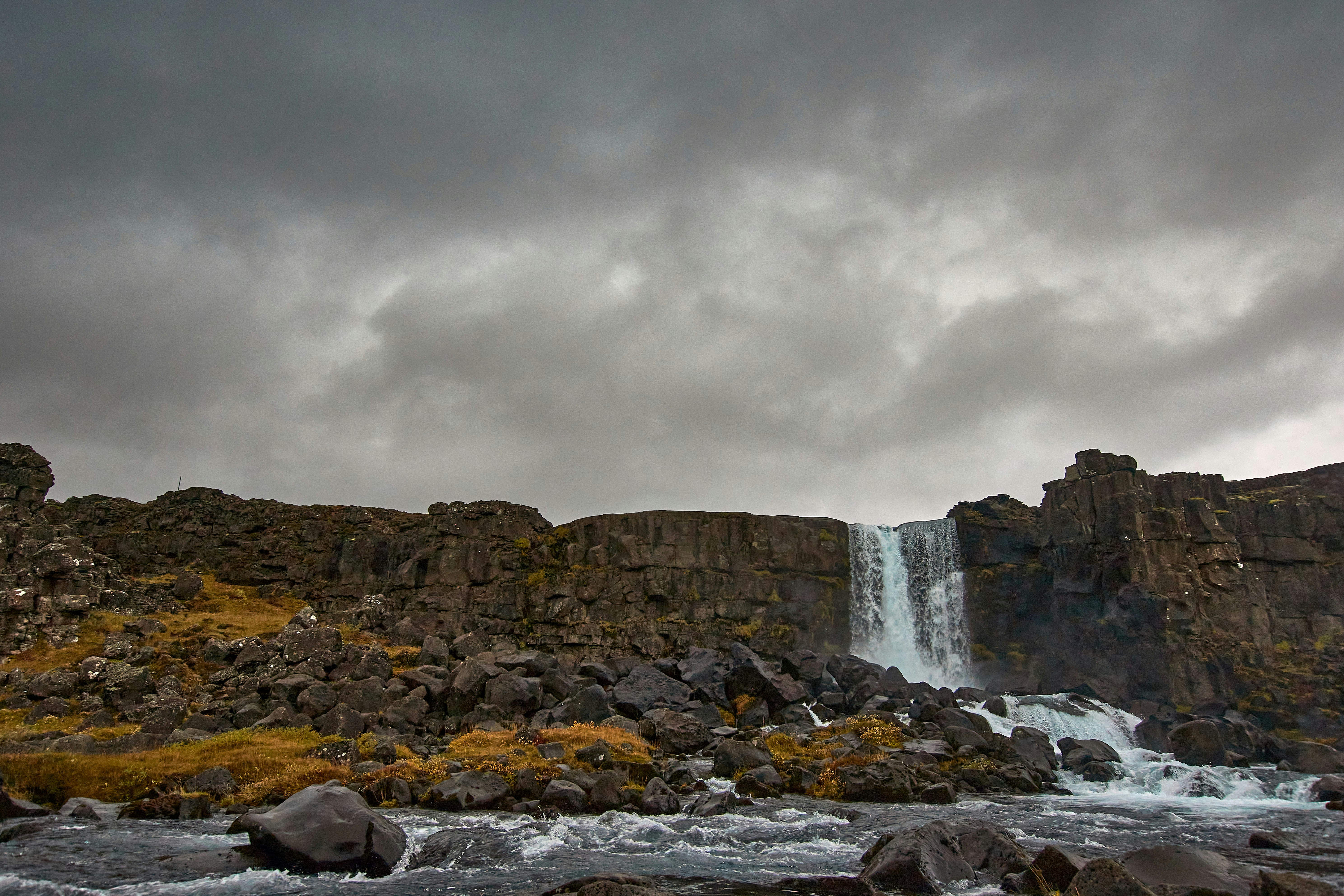 Photo by wolfgang_hasselmann