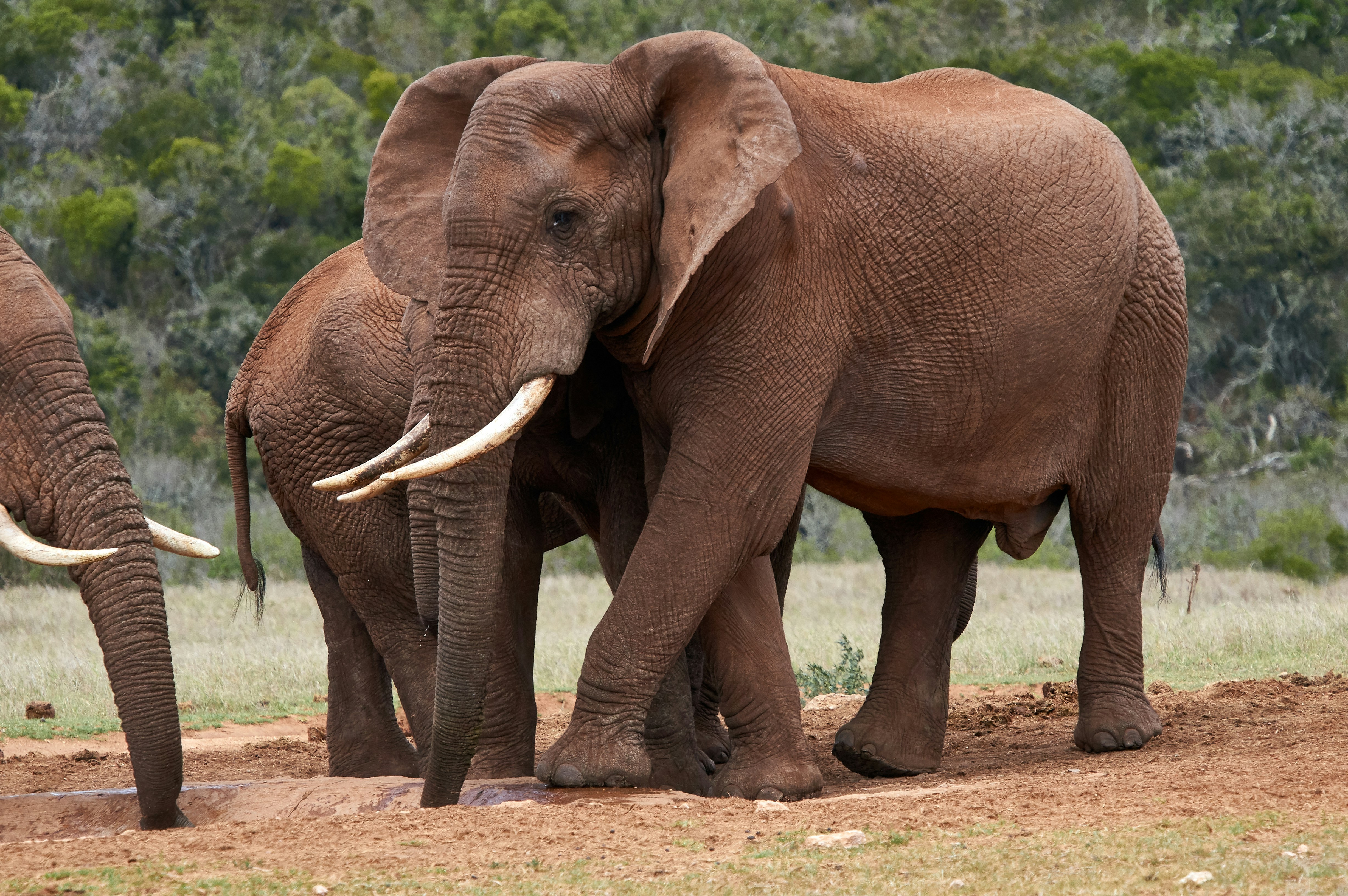 Photo by wolfgang_hasselmann