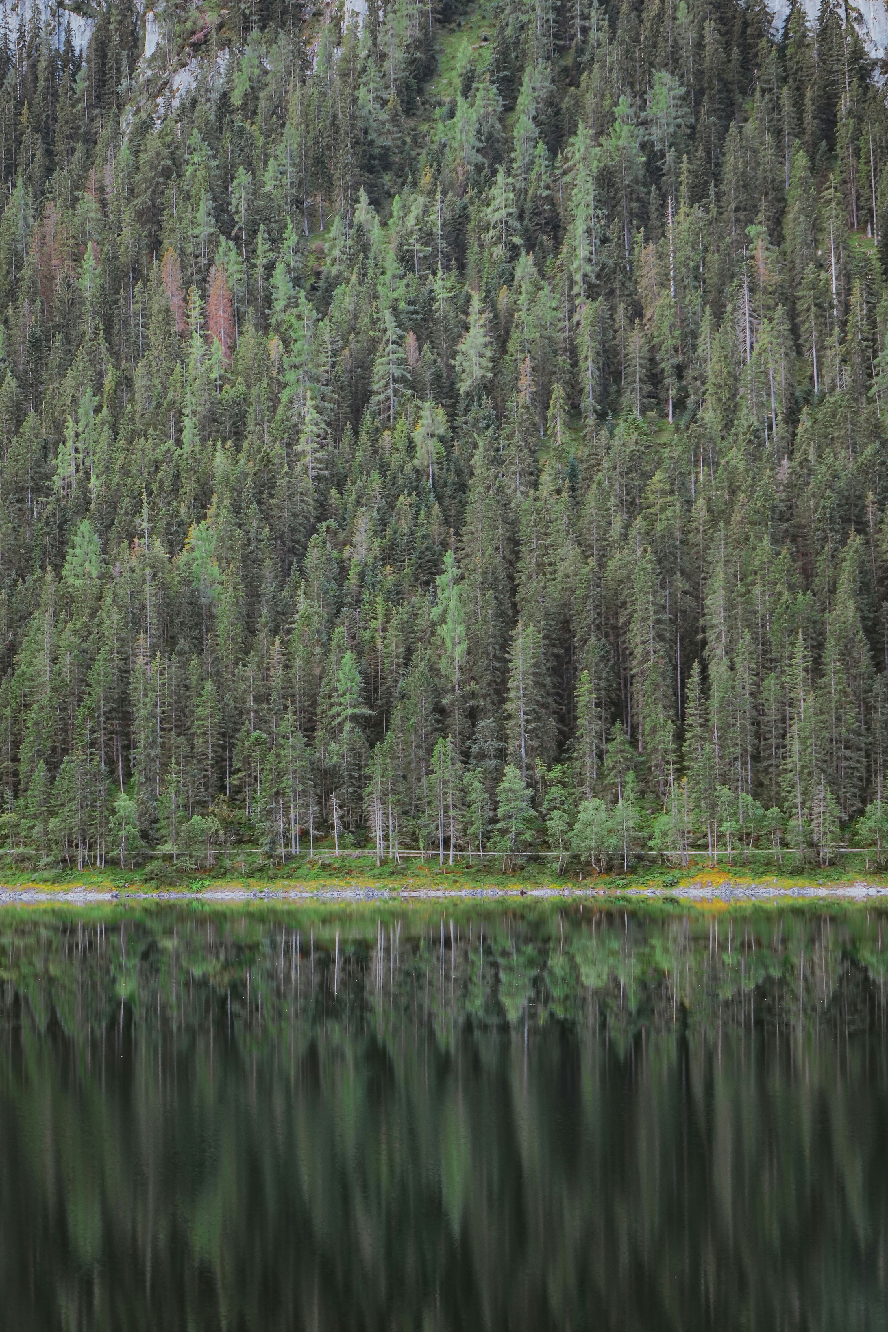 Photo by laurachouette