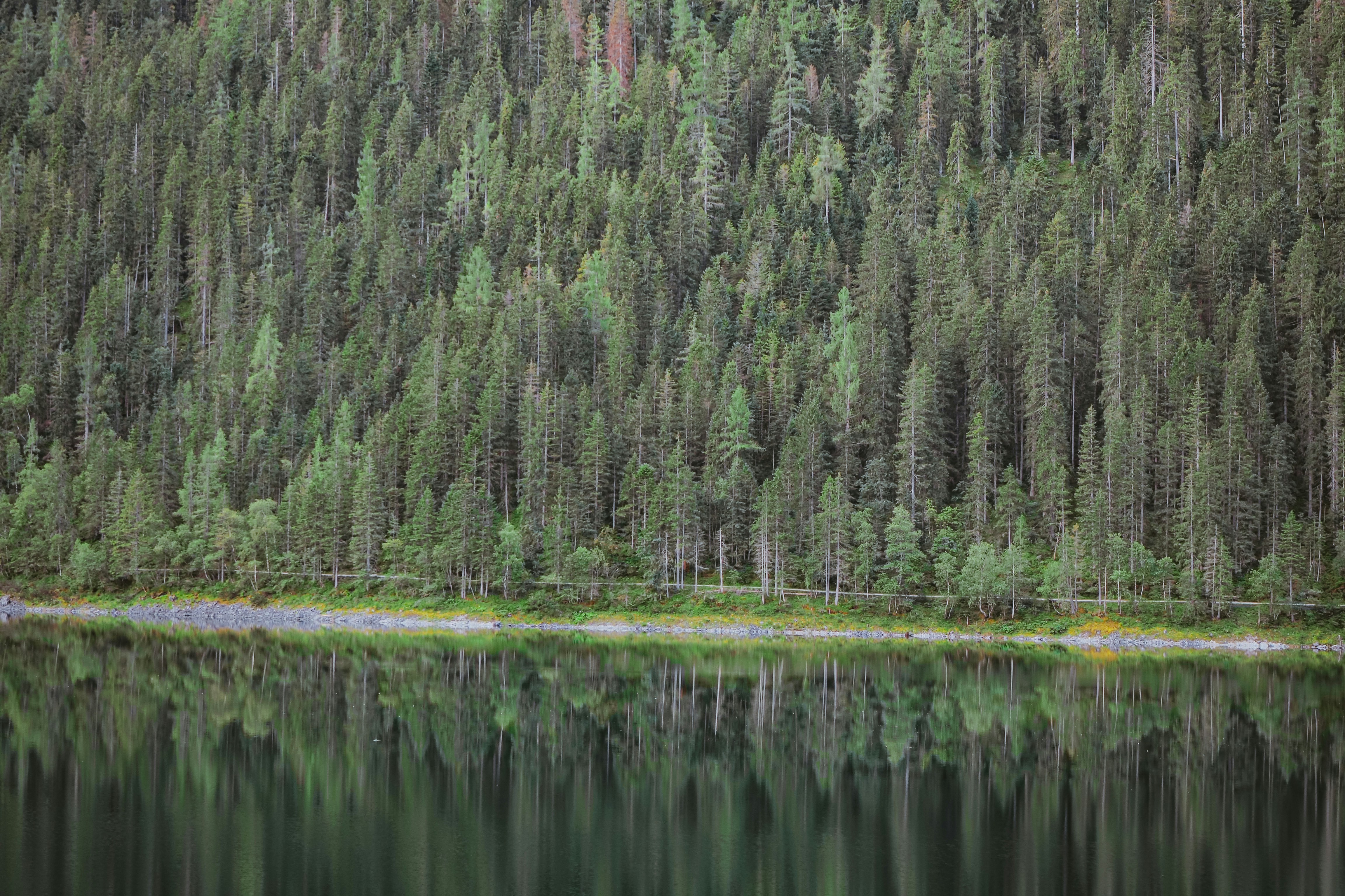 Photo by laurachouette