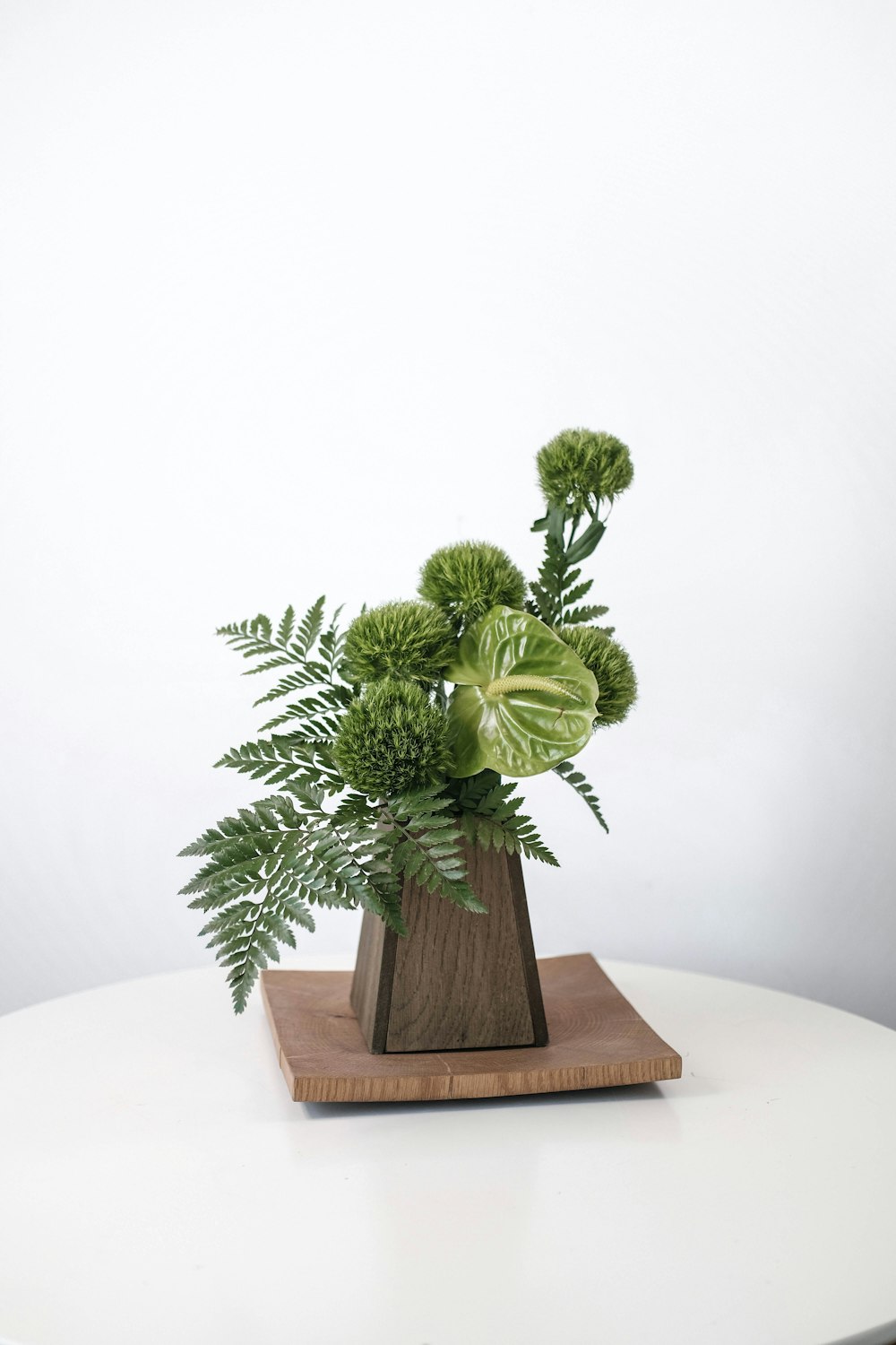 green plant on brown wooden pot