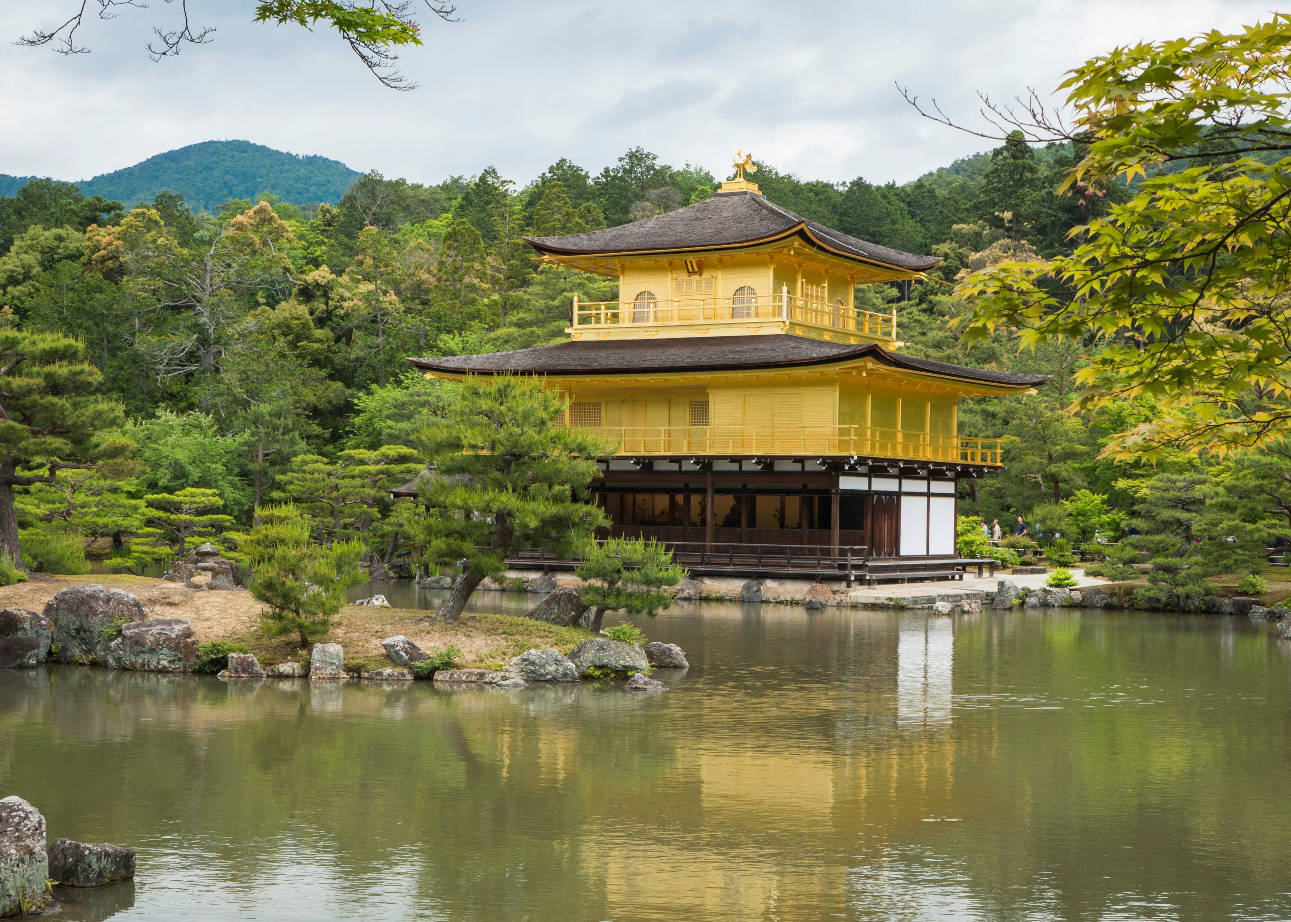 Maison en bois brun près des arbres verts et de la rivière pendant la journée