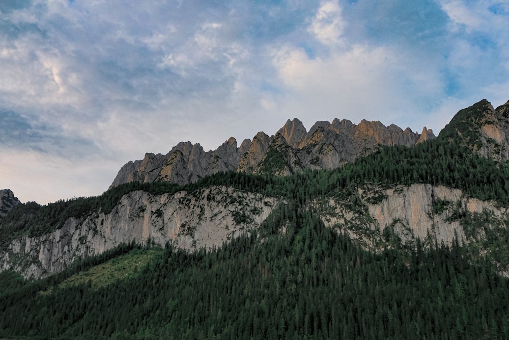 green trees on mountain under cloudy sky during daytime