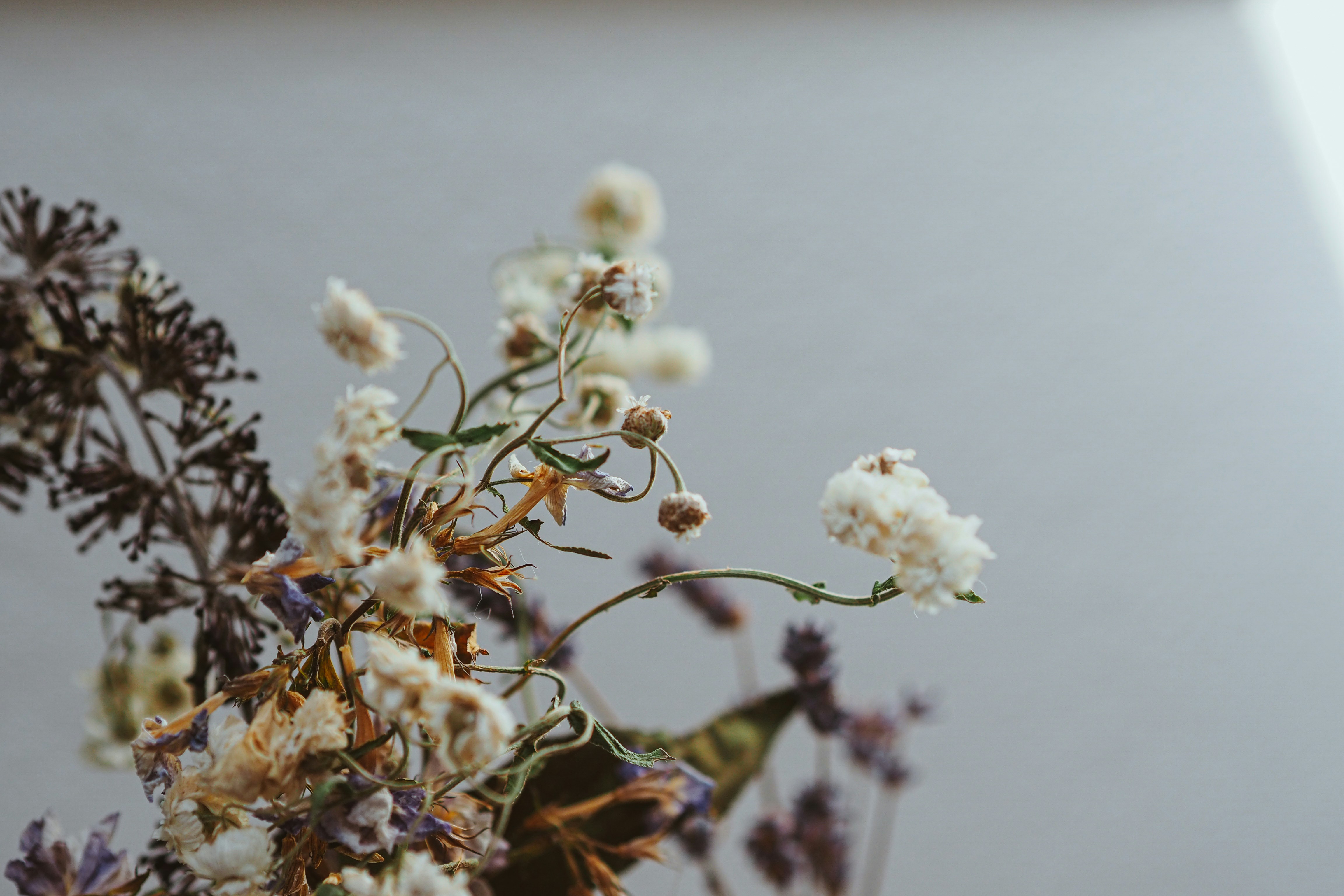 Photo by laurachouette