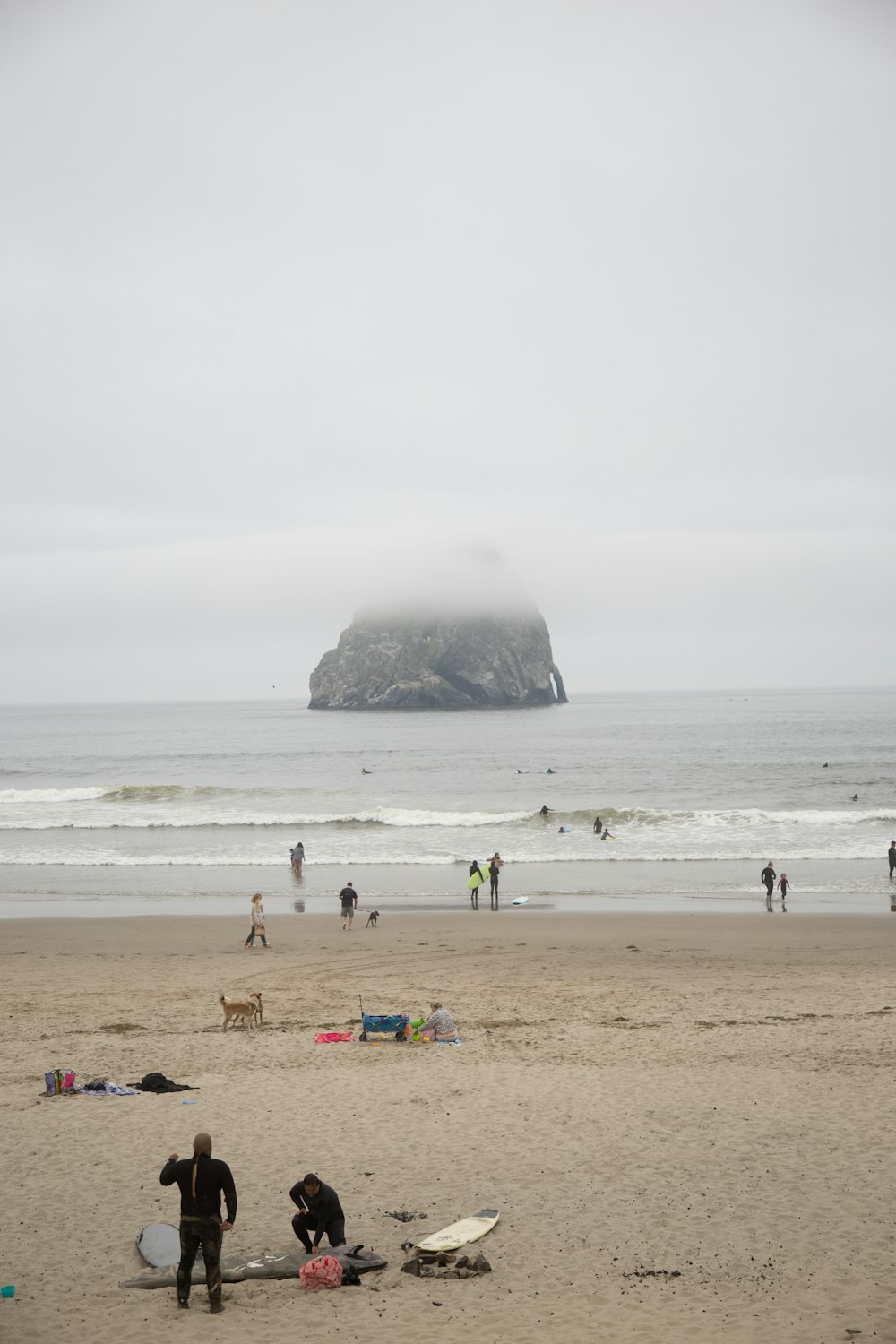 people on beach during daytime