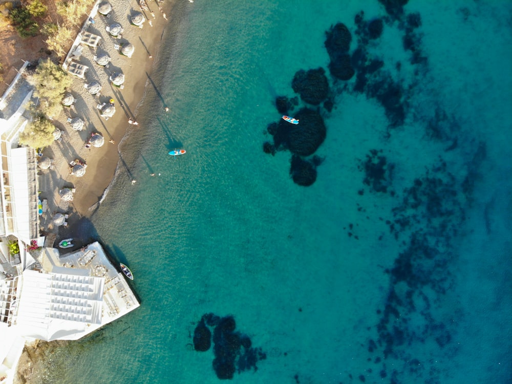 aerial view of white and blue boat on sea during daytime