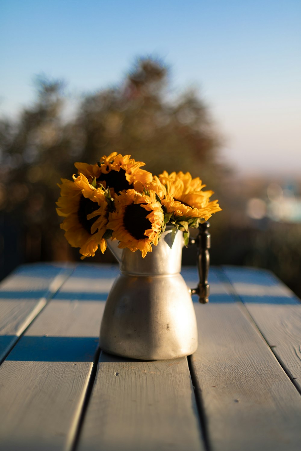 yellow flower in white vase on brown wooden table