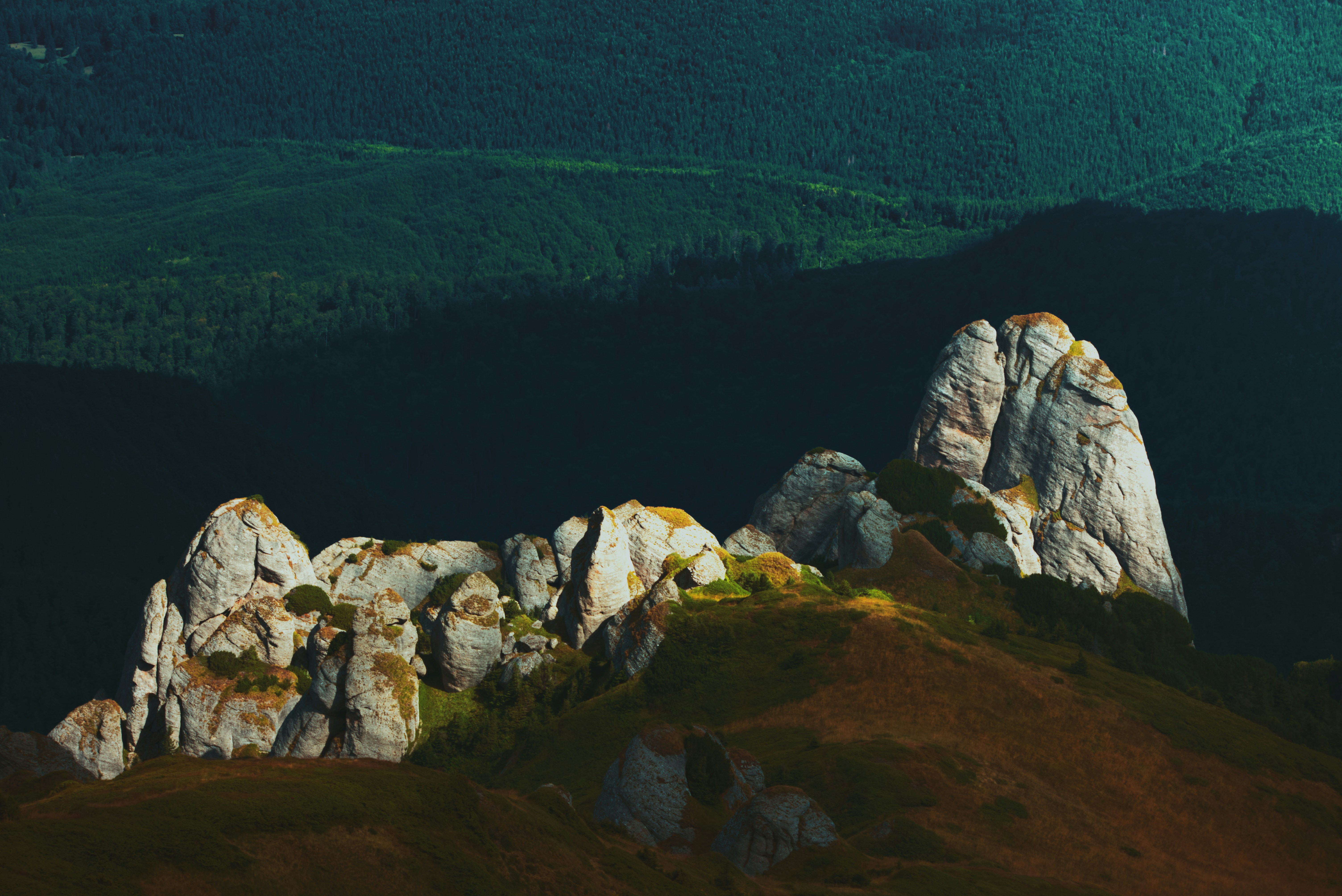 6 Top Ziplining Destinations in France’s Countryside