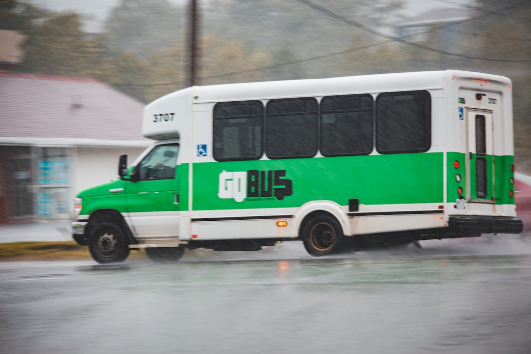 white and green bus on road during daytime