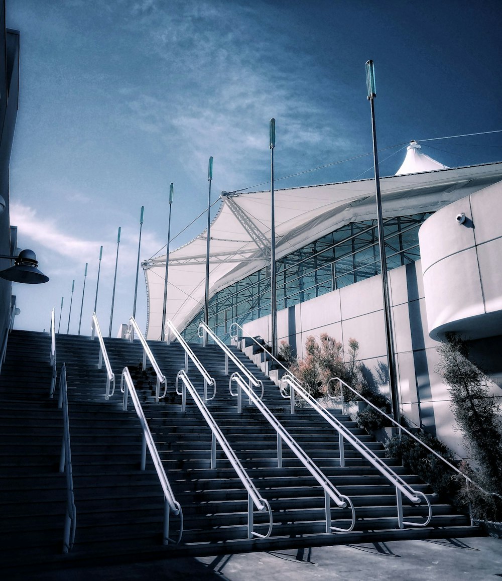 white and blue stadium during daytime