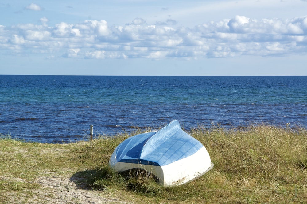 white and blue tent on green grass field near body of water during daytime