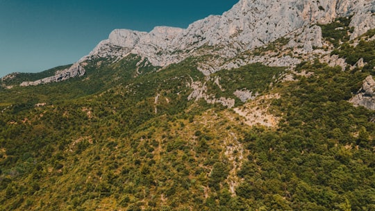 photo of Montagne Sainte-Victoire Nature reserve near Marseille