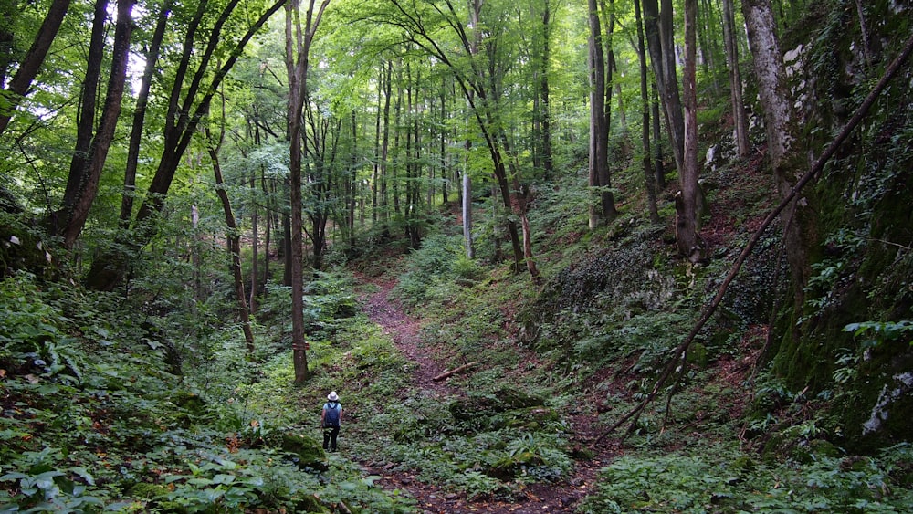 2 personnes marchant sur un sentier entre les arbres pendant la journée