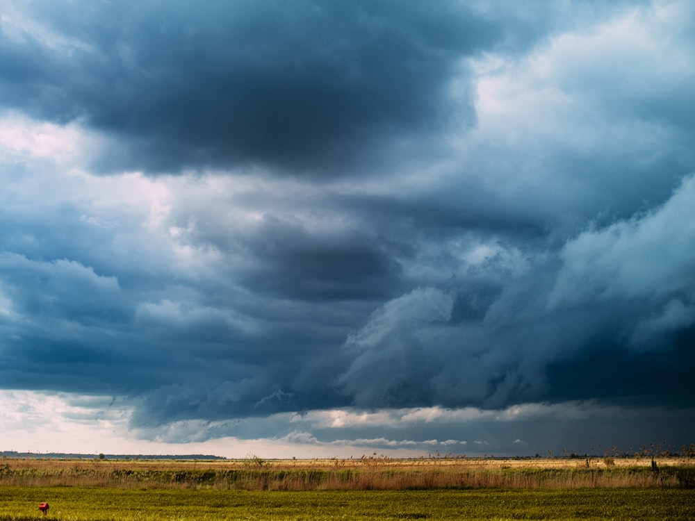 green grass field under white clouds