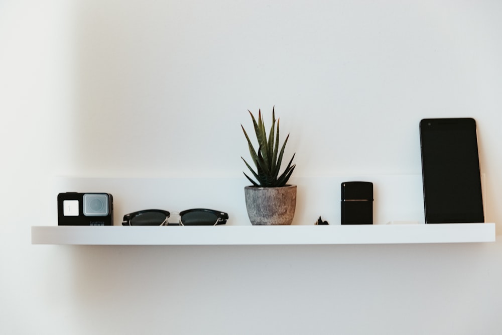 green potted plant on white wooden shelf