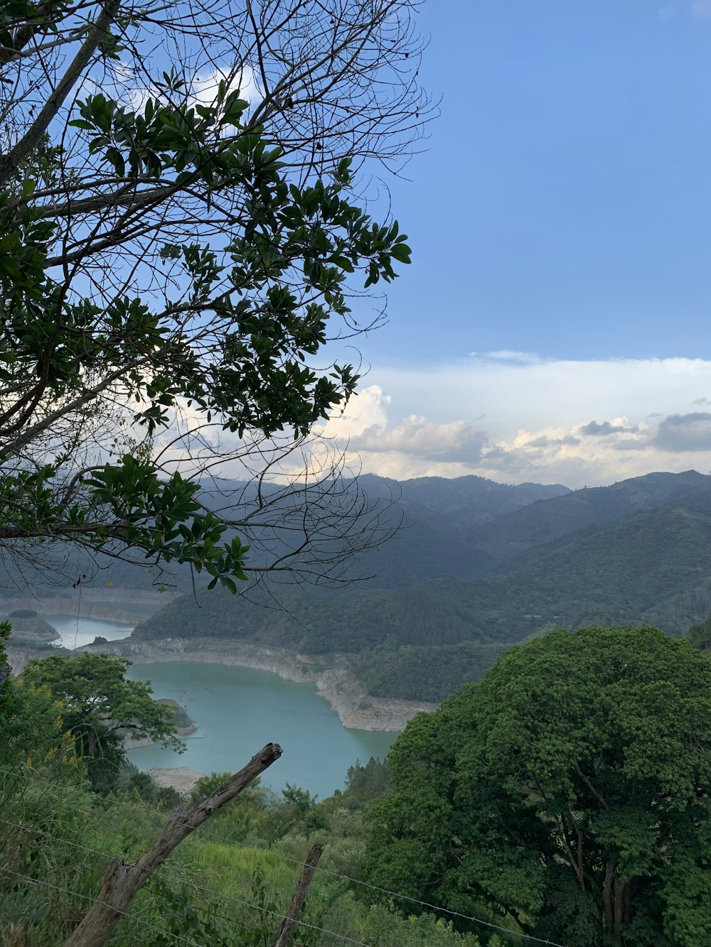 green trees on mountain during daytime