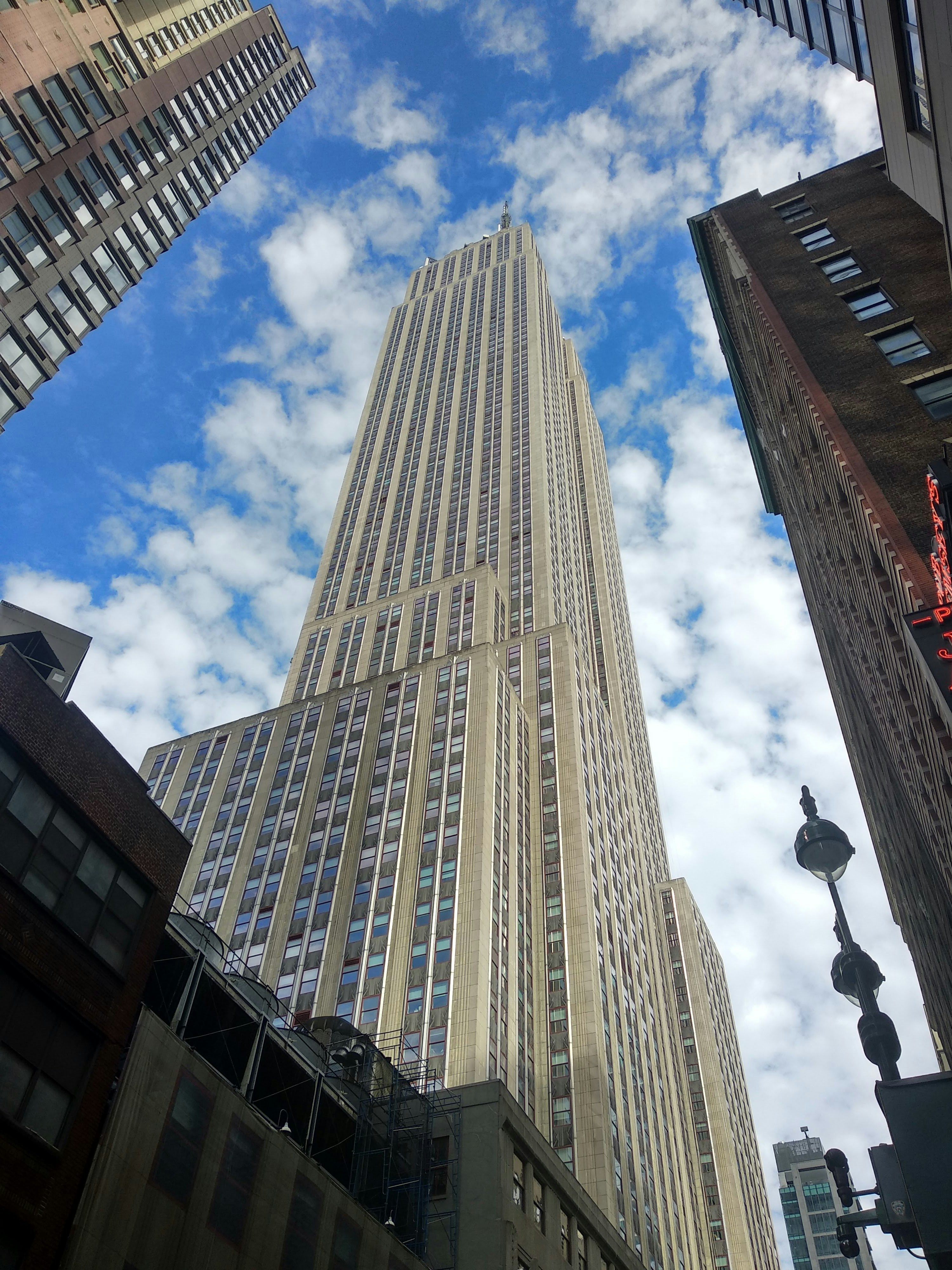 "Dogwifhat Meme Coin Soars to Historic High: A Comprehensive Analysis"