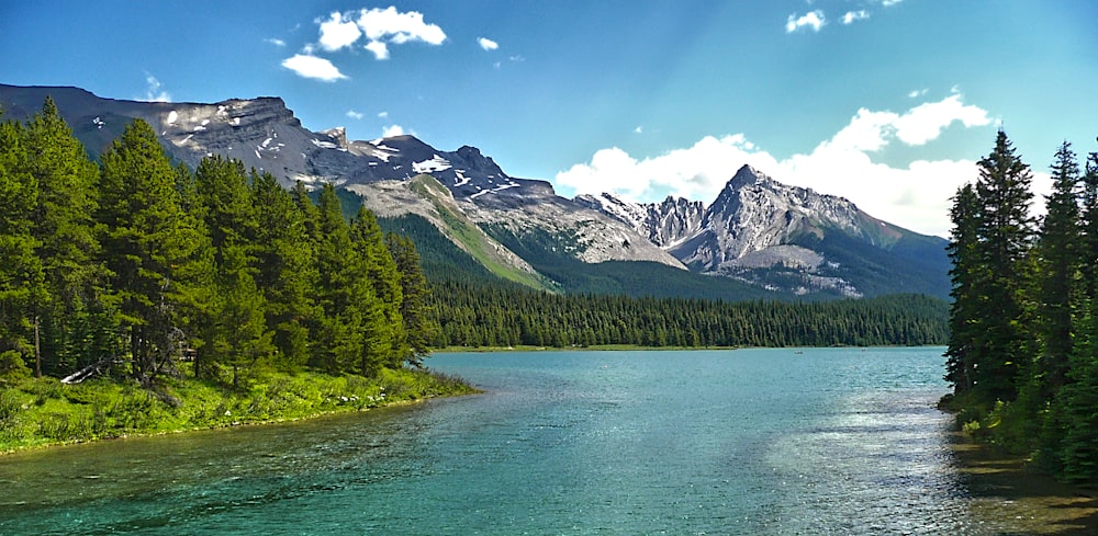 green trees near lake and mountains under blue sky during daytime