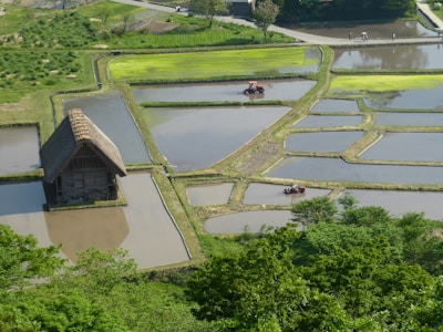 A rural scene features terraced rice fields filled with water, bordered by lush greenery. A traditional thatched-roof farmhouse sits among the fields. Two small tractors are visible, tending to the fields. In the background, a few people walk along pathways.