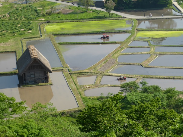 A peaceful village scene showing sustainable agriculture fields with workers tending crops.