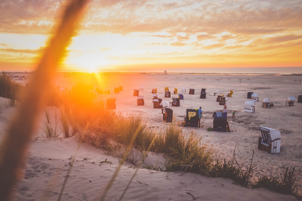 people standing on beach during sunset