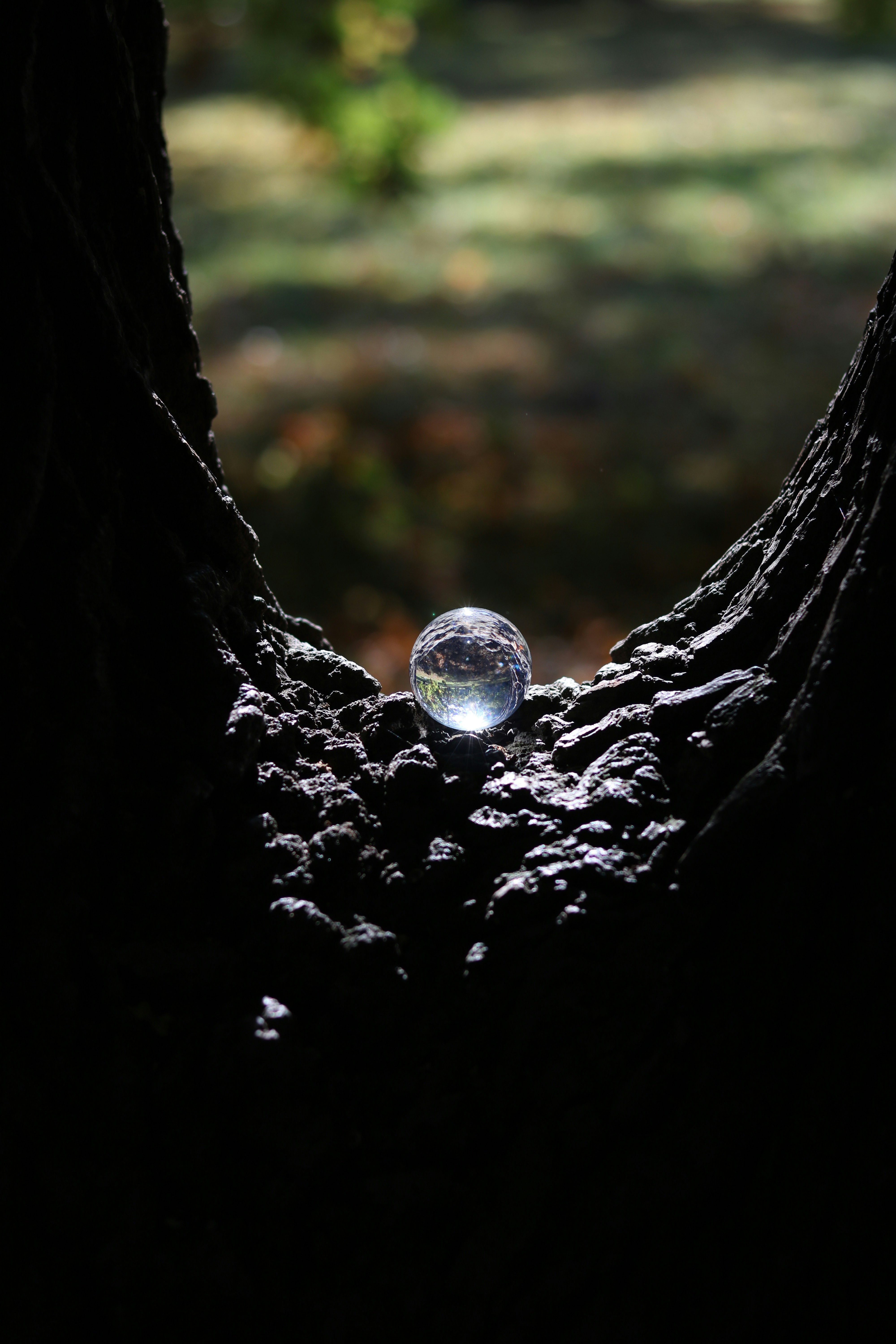 Photo by christofwettengel