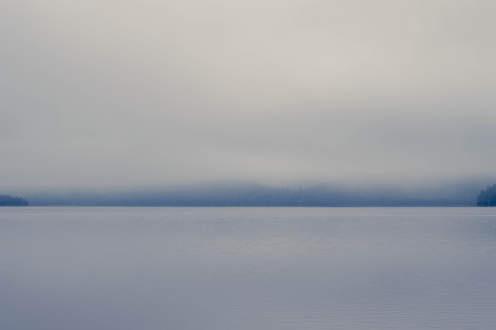 昼間の白い雲の下の水域