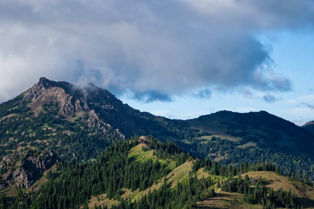 green trees on mountain under cloudy sky during daytime