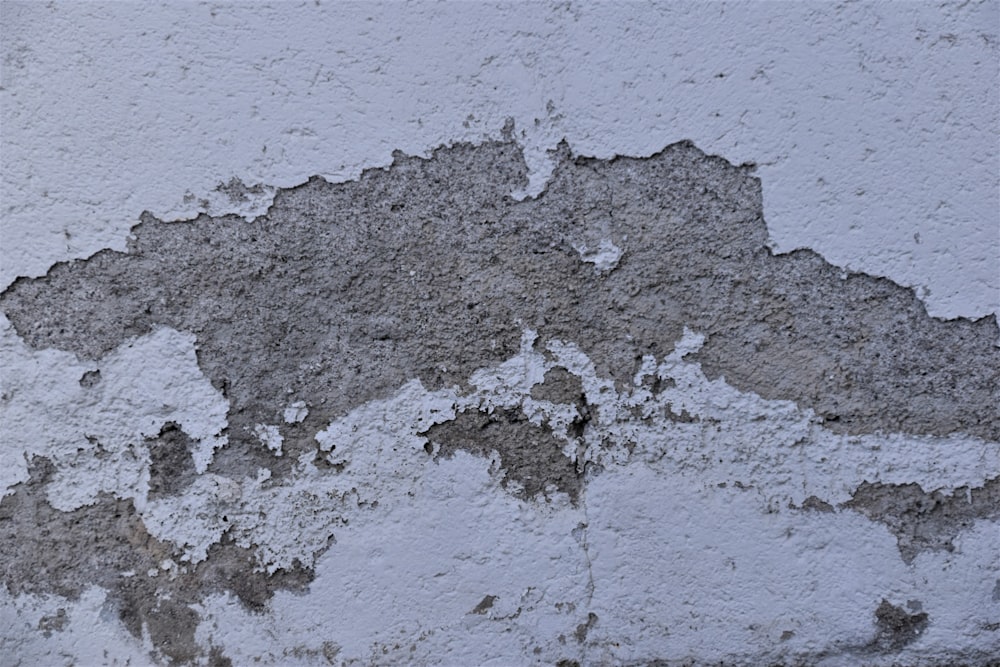 白と灰色のコンクリートの壁