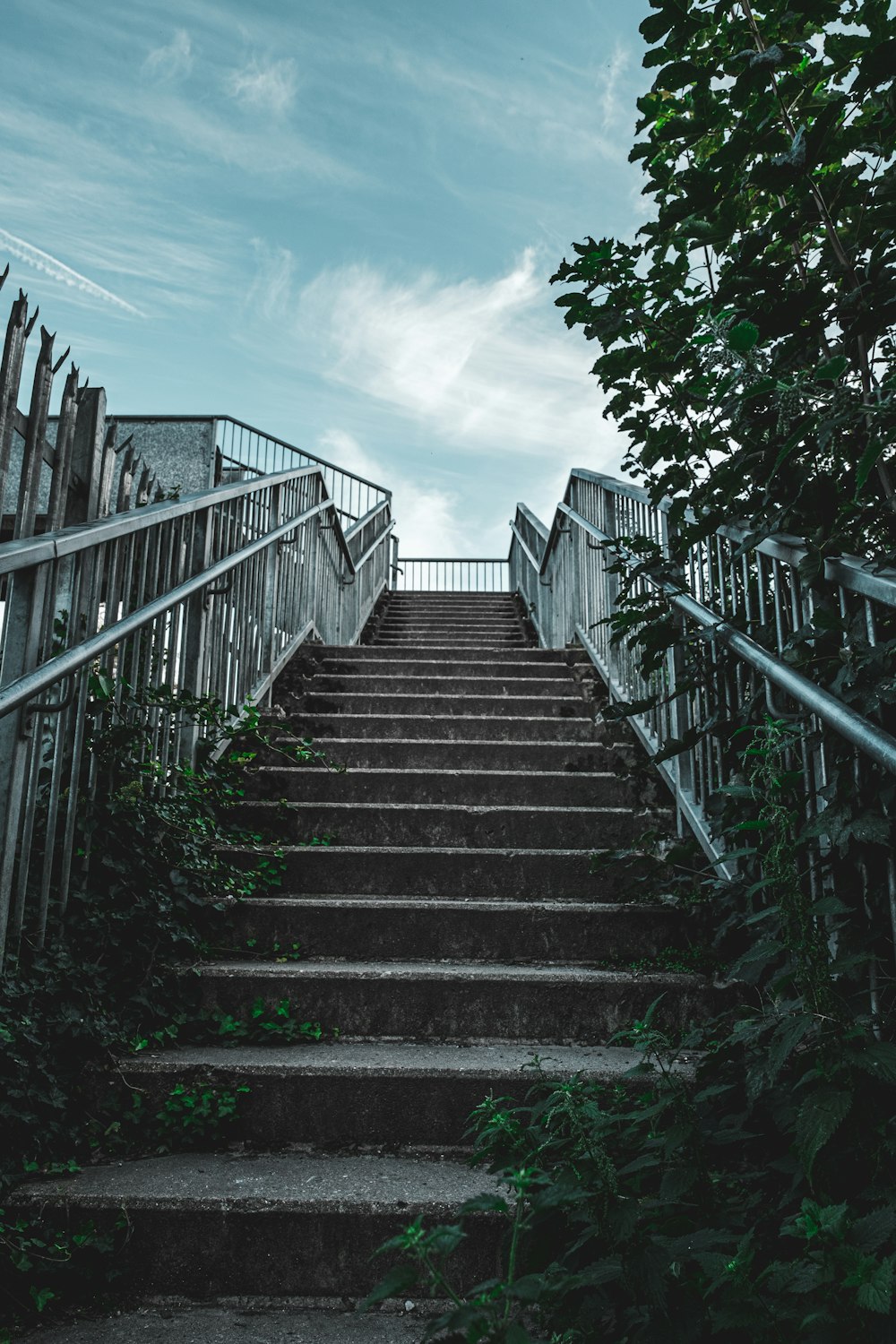 black and white staircase with green plants