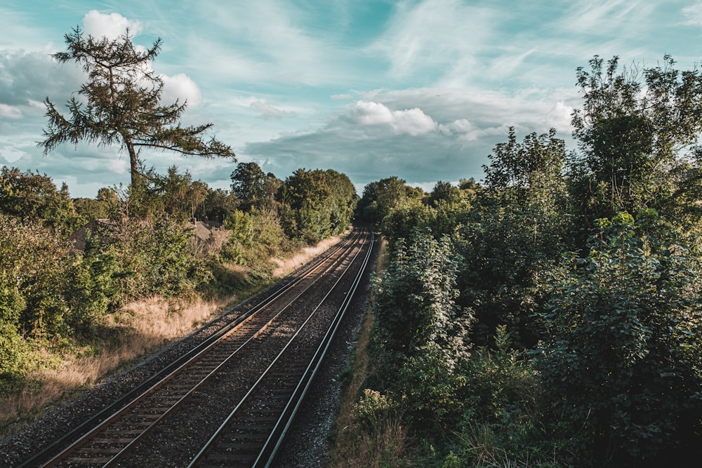 train rail near green trees under white clouds and blue sky during daytime