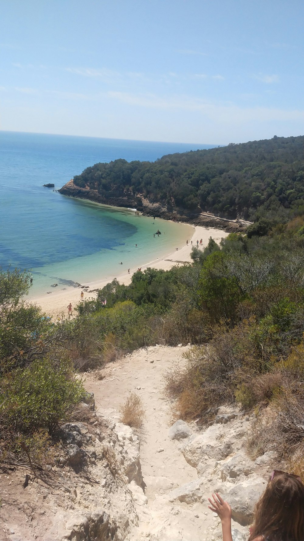 green trees near blue sea during daytime