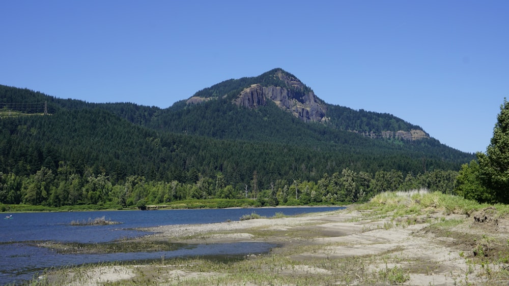 a mountain with a lake in the foreground and trees in the background
