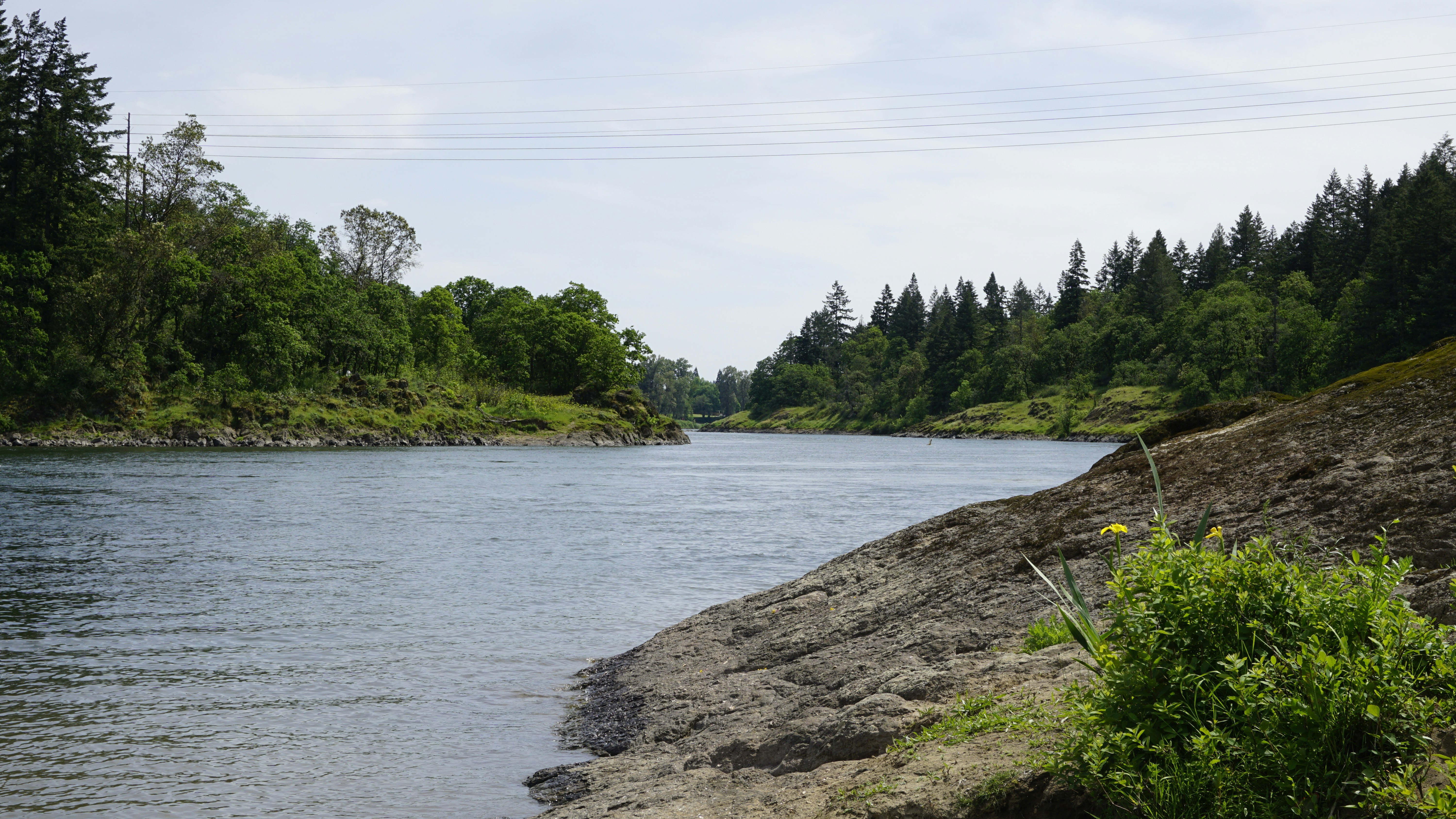 Duwamish River People’s Park and Shoreline Habitat