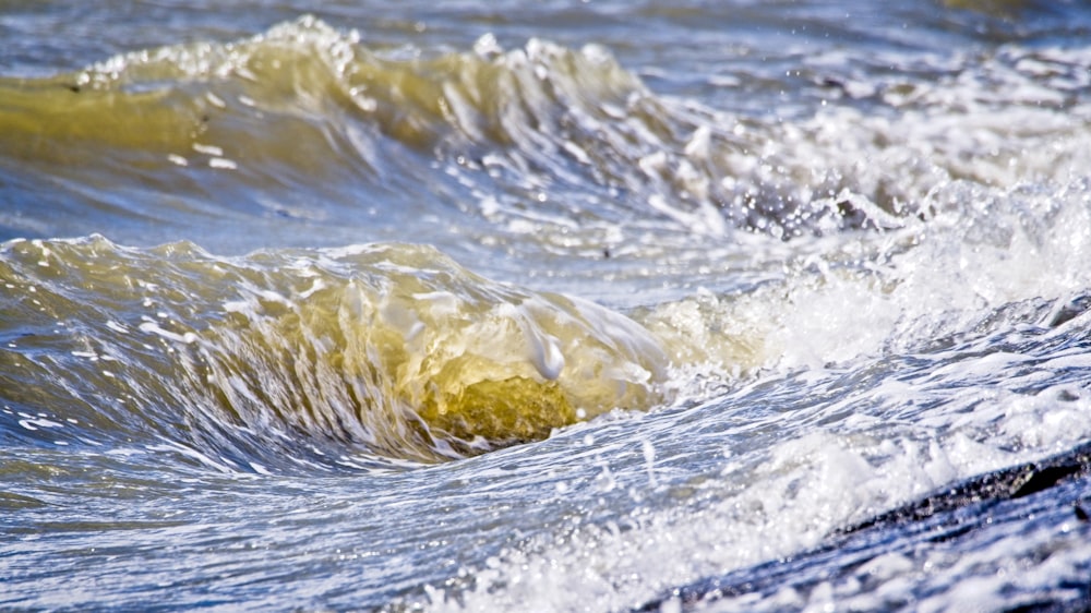 yellow liquid in body of water