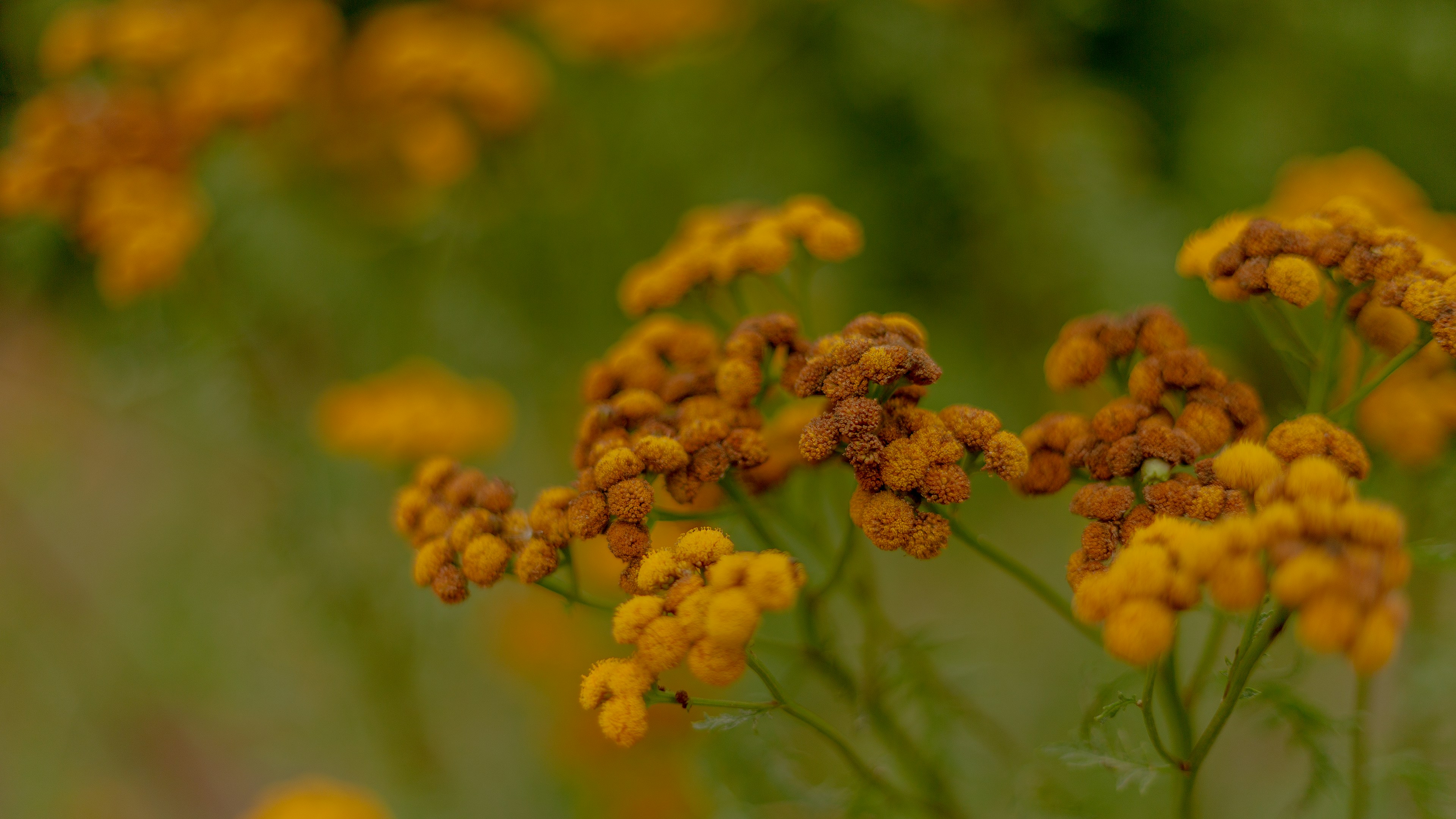 Photo by zdzieblowski