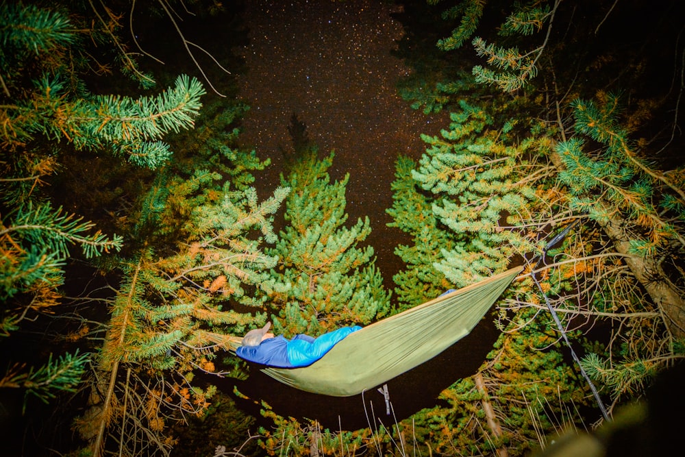 person lying on hammock surrounded by trees