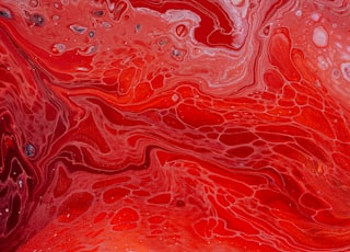 red and white abstract painting