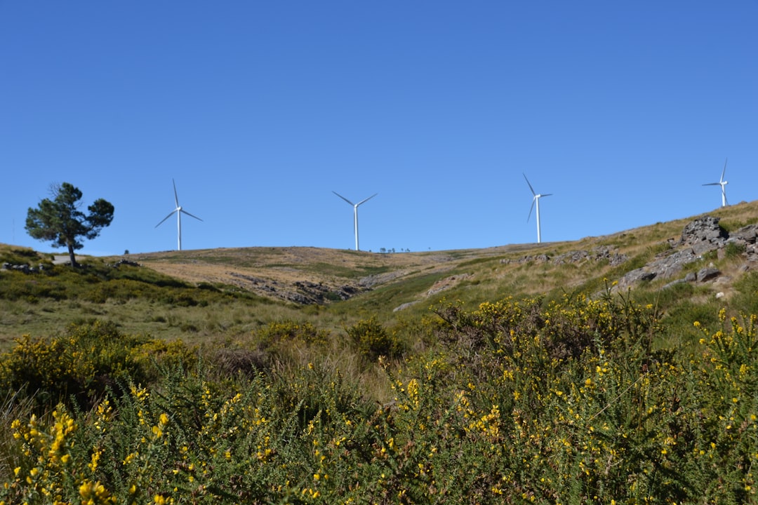 Hill photo spot Serra da Freita Lamego