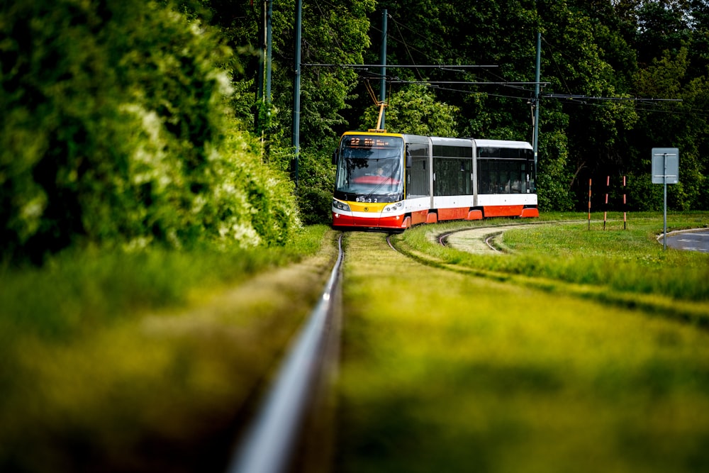 red and white train on rail road during daytime