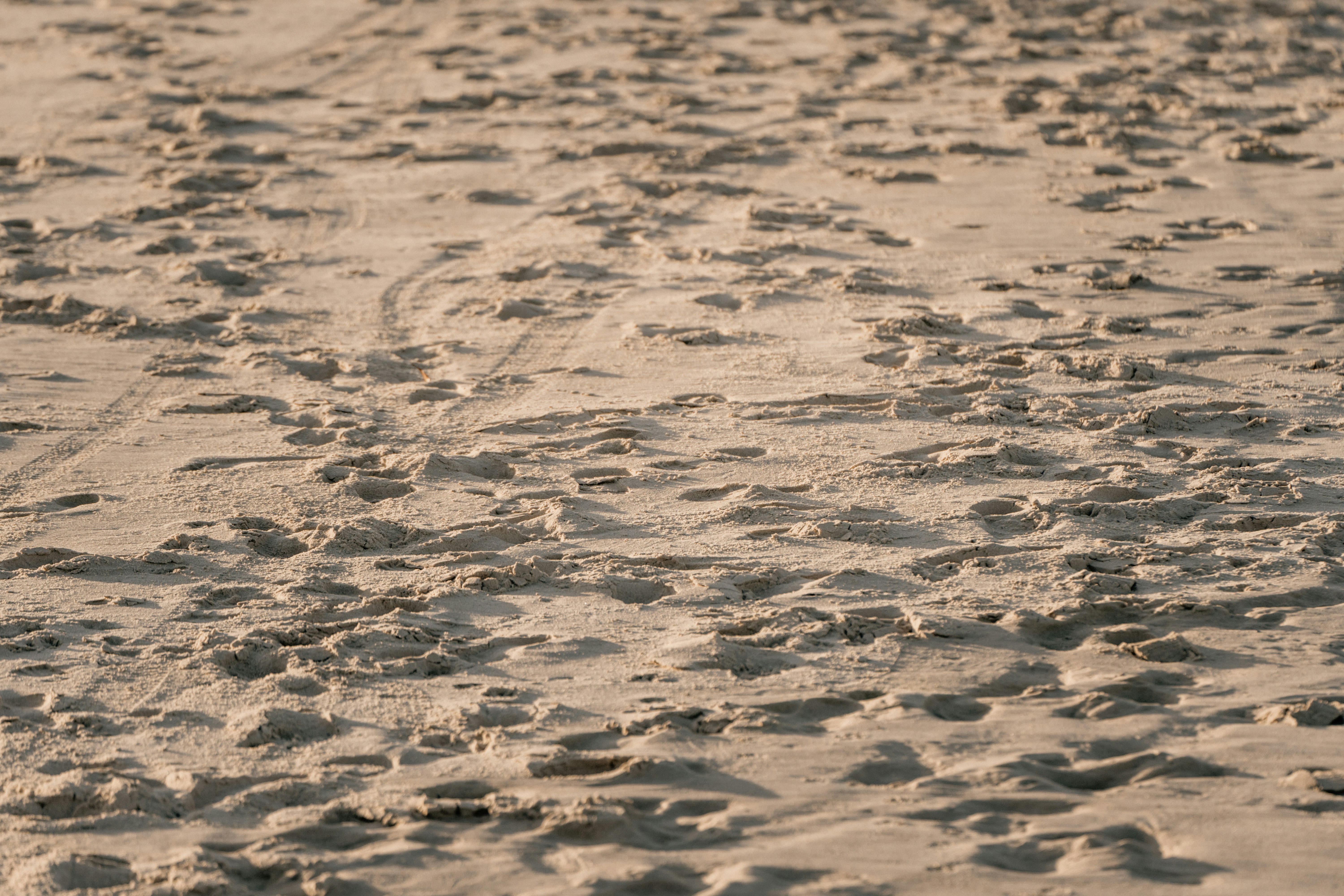 Photo by joshwithers