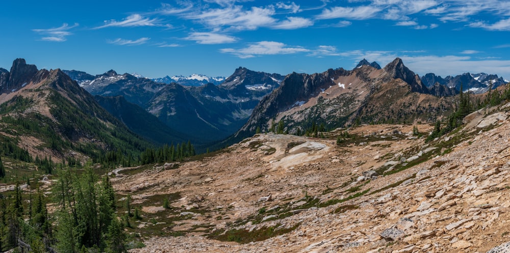 green trees on brown and green mountain under blue sky during daytime