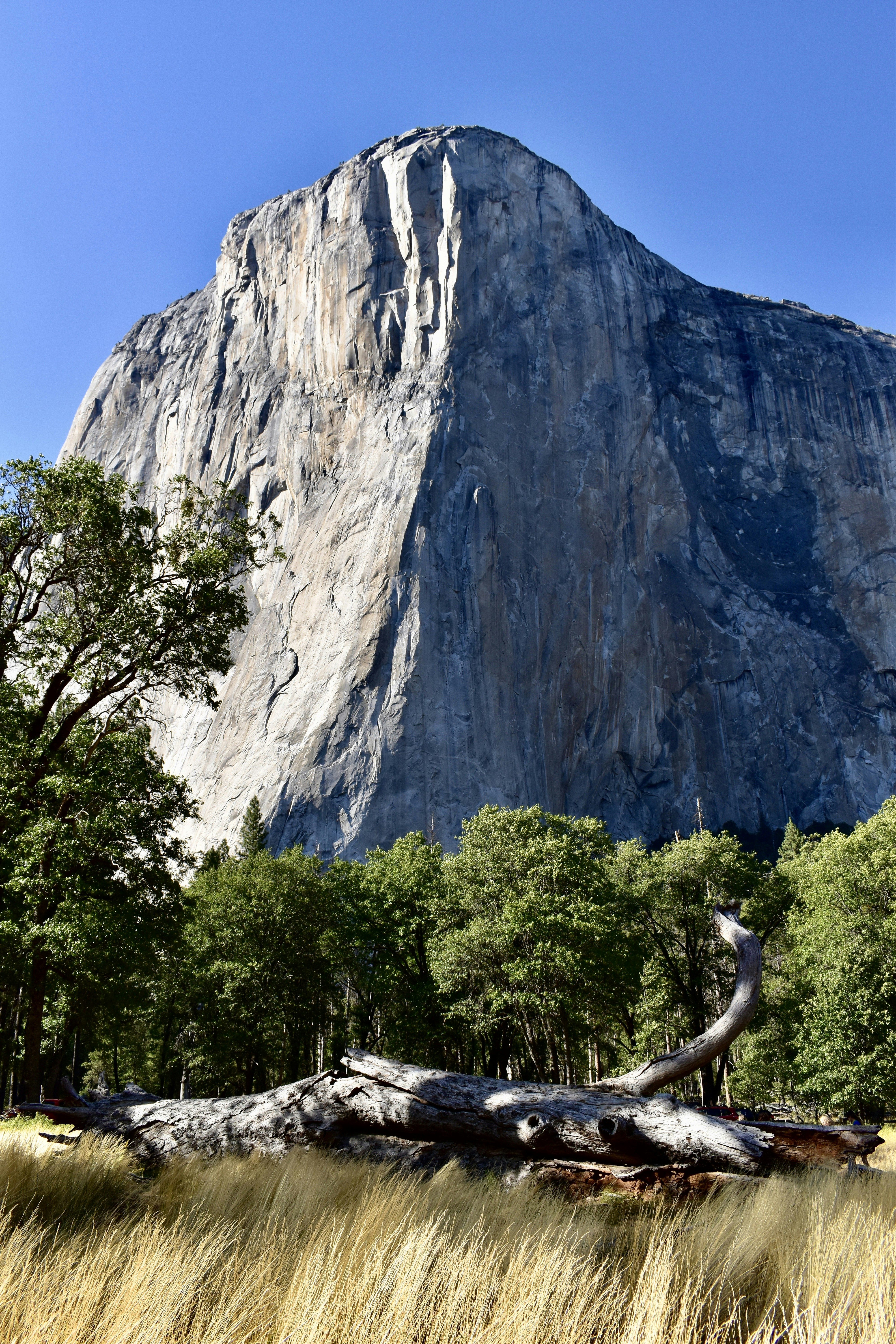 Photo by logan_easterling