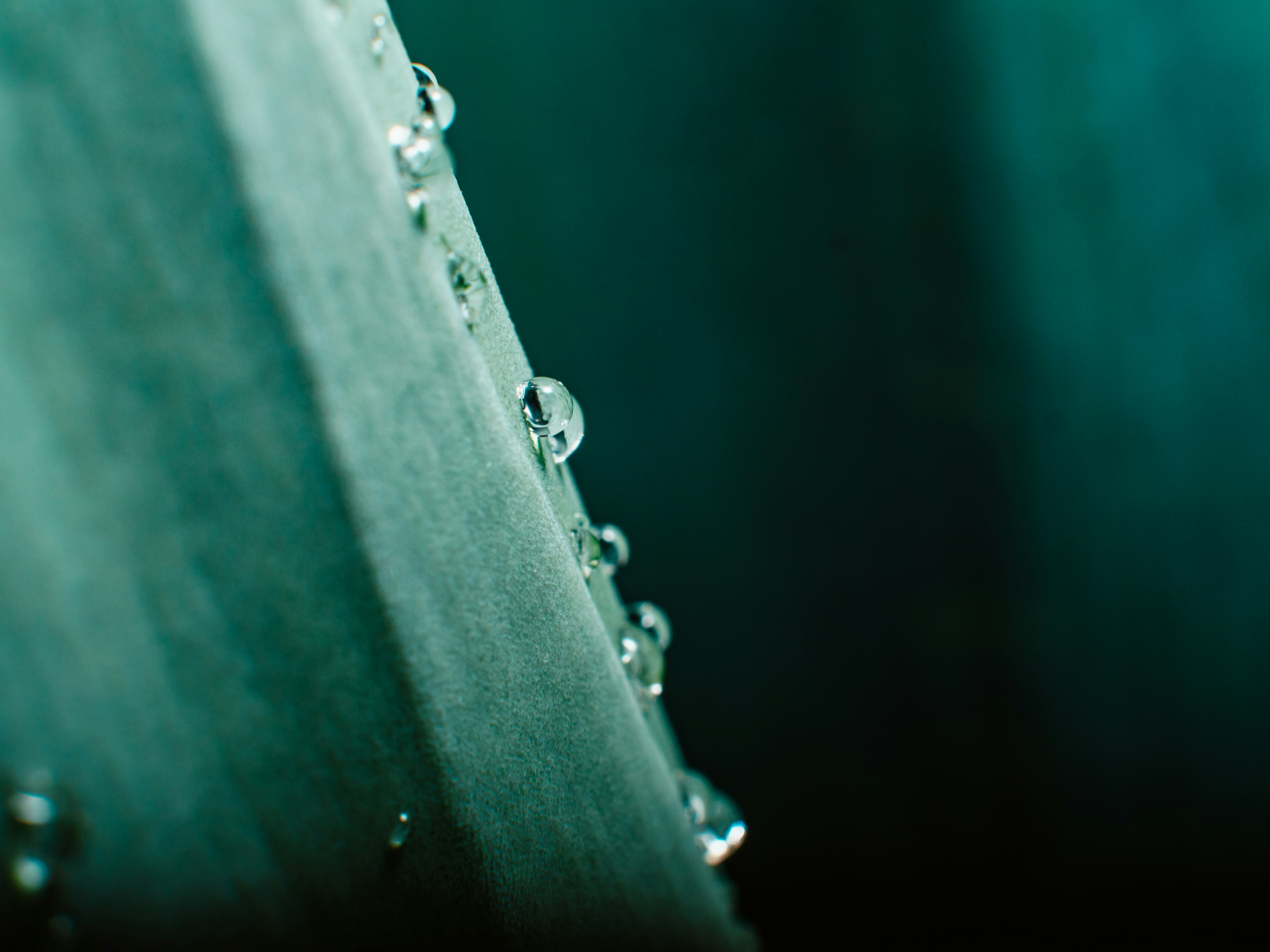 Photo by merittthomas