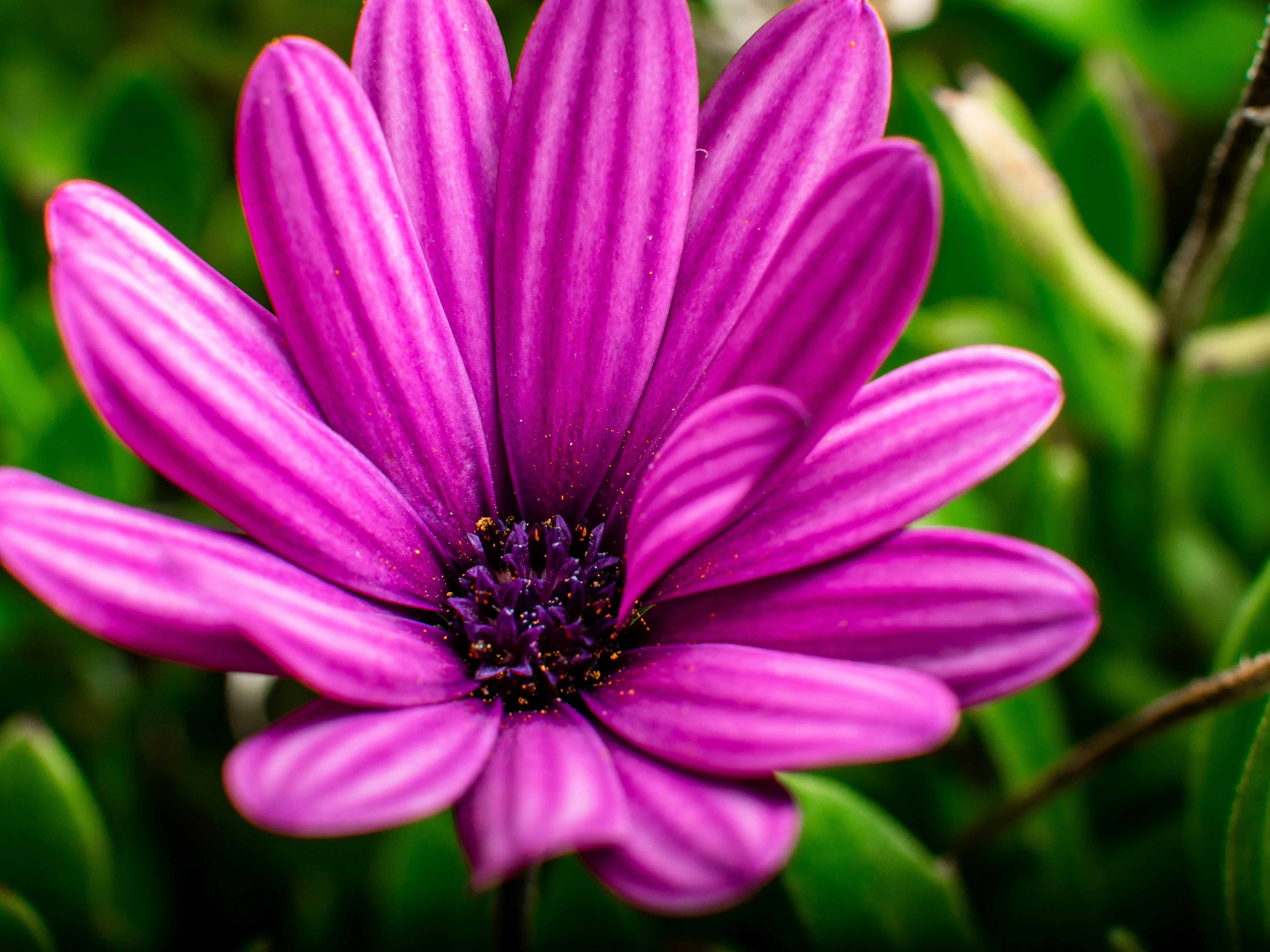 Photo by merittthomas