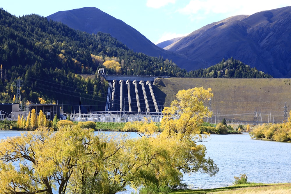 Champ d’herbe verte près d’un plan d’eau pendant la journée