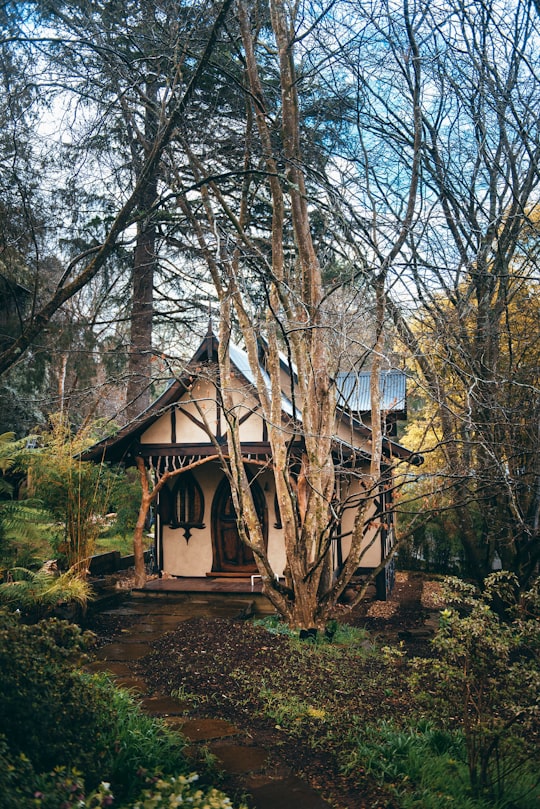 brown wooden house surrounded by bare trees under blue sky during daytime in Kallista VIC Australia